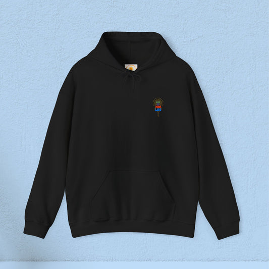 🌞Vibe Up Your Life Unisex Heavy Blend™ Embroidered Hooded Sweatshirt